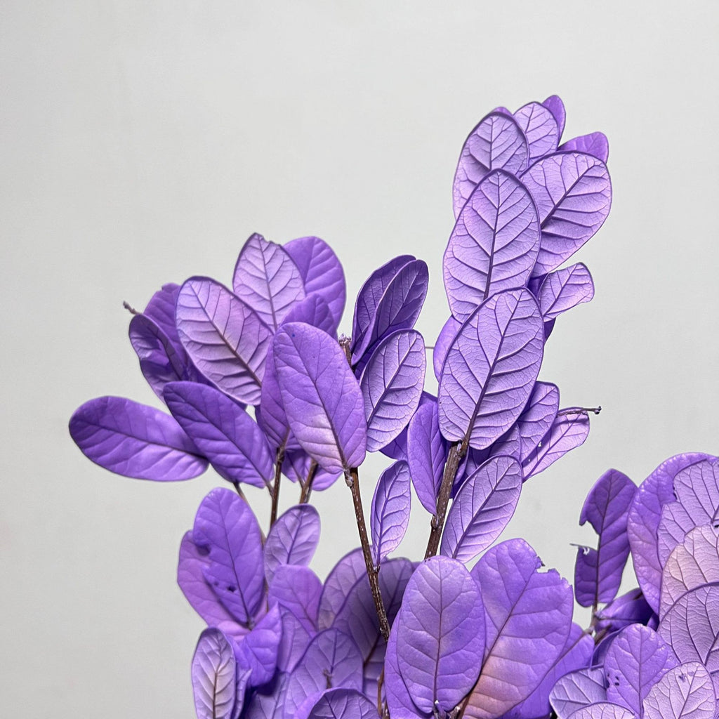 Alilang Decorative Dried Leafy Branches for Modern Home Decoration and Floral Arrangements