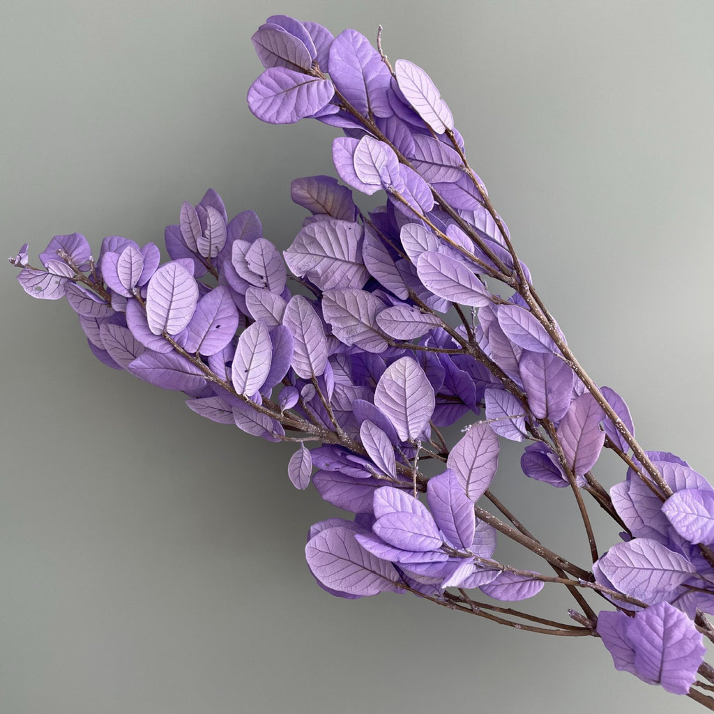 Alilang Decorative Dried Leafy Branches for Modern Home Decoration and Floral Arrangements