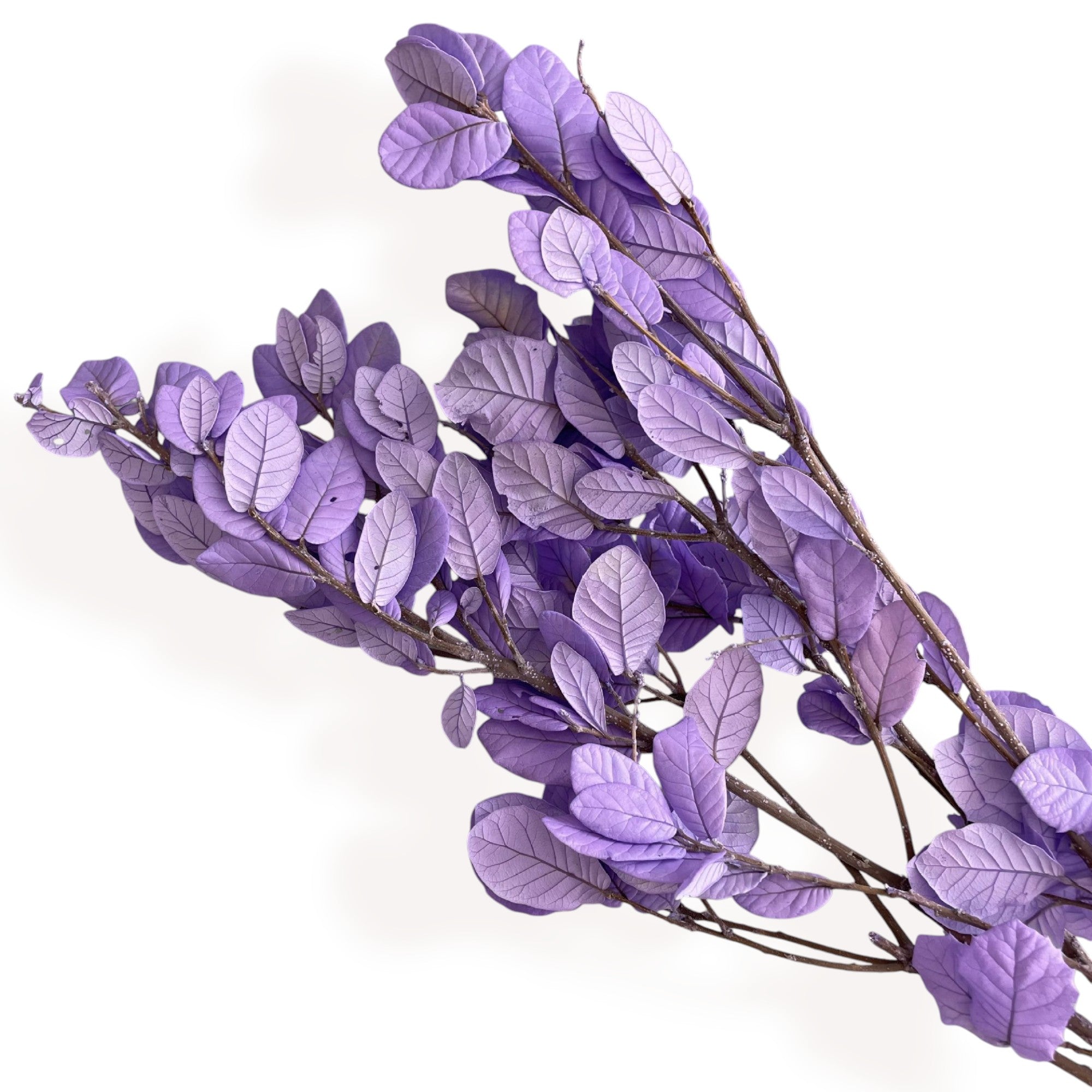 Alilang Decorative Dried Leafy Branches for Modern Home Decoration and Floral Arrangements