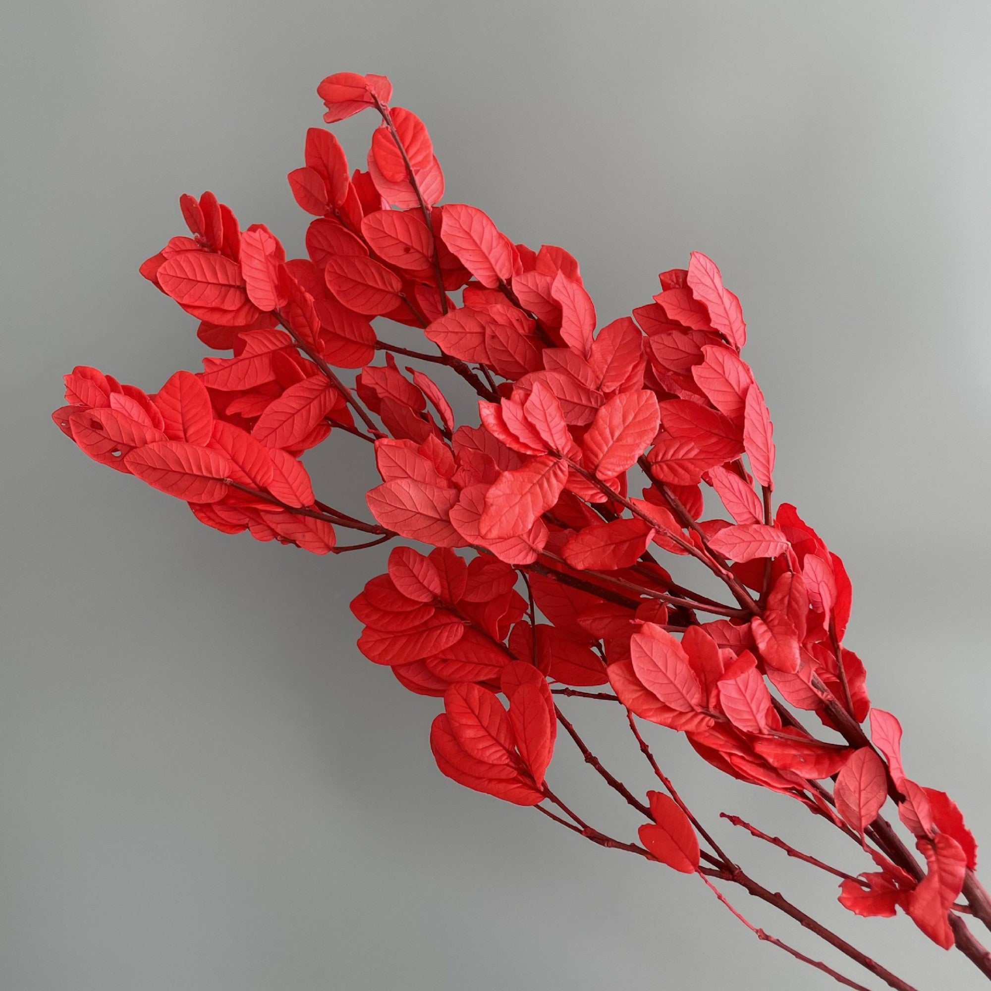 Alilang Decorative Dried Leafy Branches for Modern Home Decoration and Floral Arrangements