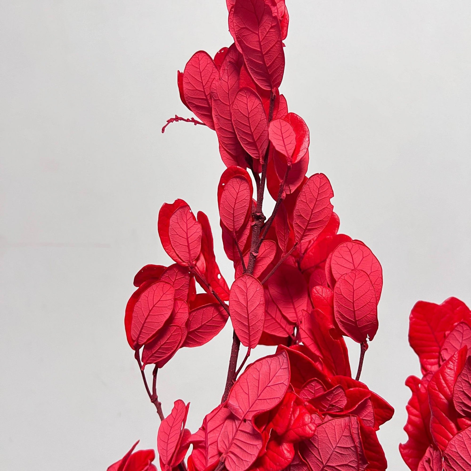 Alilang Decorative Dried Leafy Branches for Modern Home Decoration and Floral Arrangements