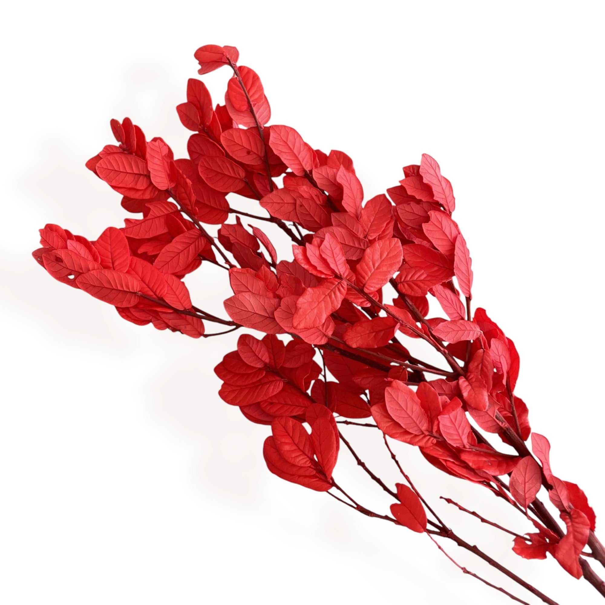 Alilang Decorative Dried Leafy Branches for Modern Home Decoration and Floral Arrangements