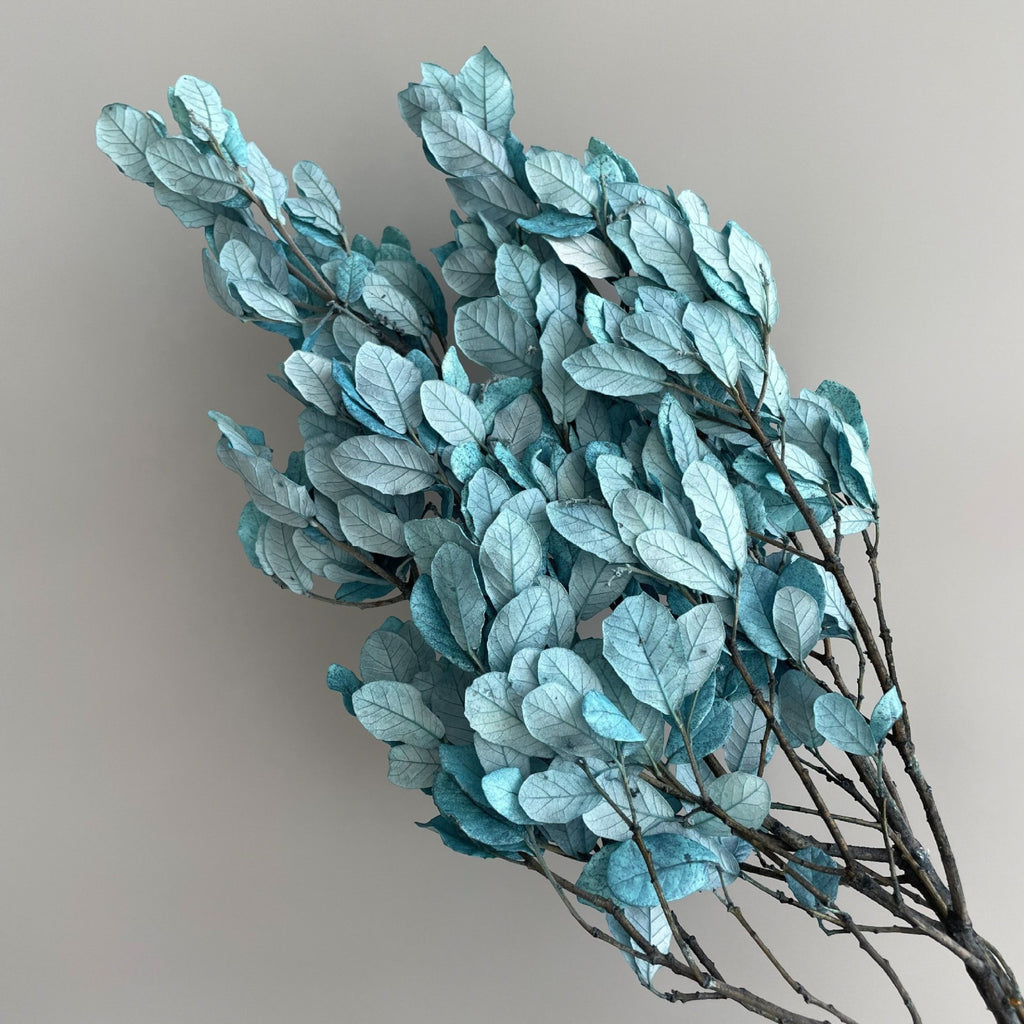Alilang Decorative Dried Leafy Branches for Modern Home Decoration and Floral Arrangements