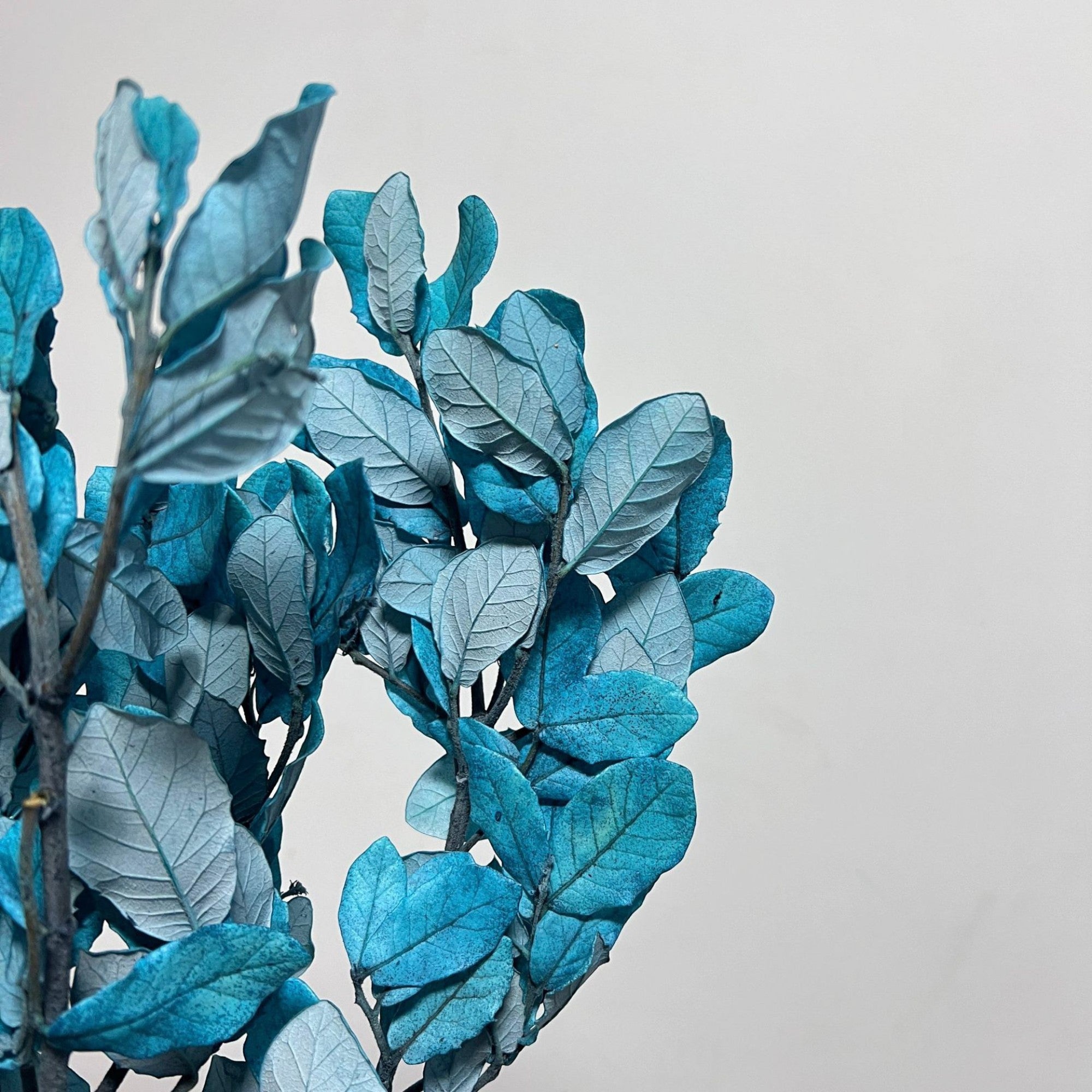 Alilang Decorative Dried Leafy Branches for Modern Home Decoration and Floral Arrangements