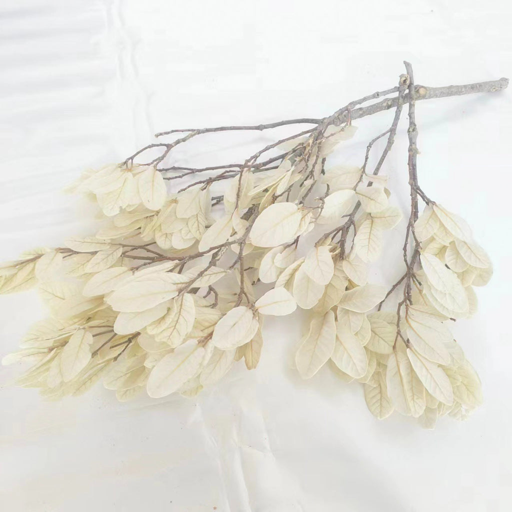 Alilang Decorative Dried Leafy Branches for Modern Home Decoration and Floral Arrangements