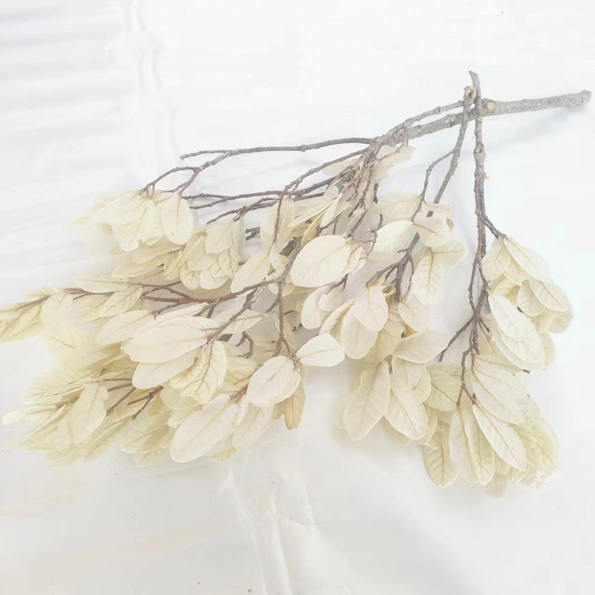 Alilang Decorative Dried Leafy Branches for Modern Home Decoration and Floral Arrangements