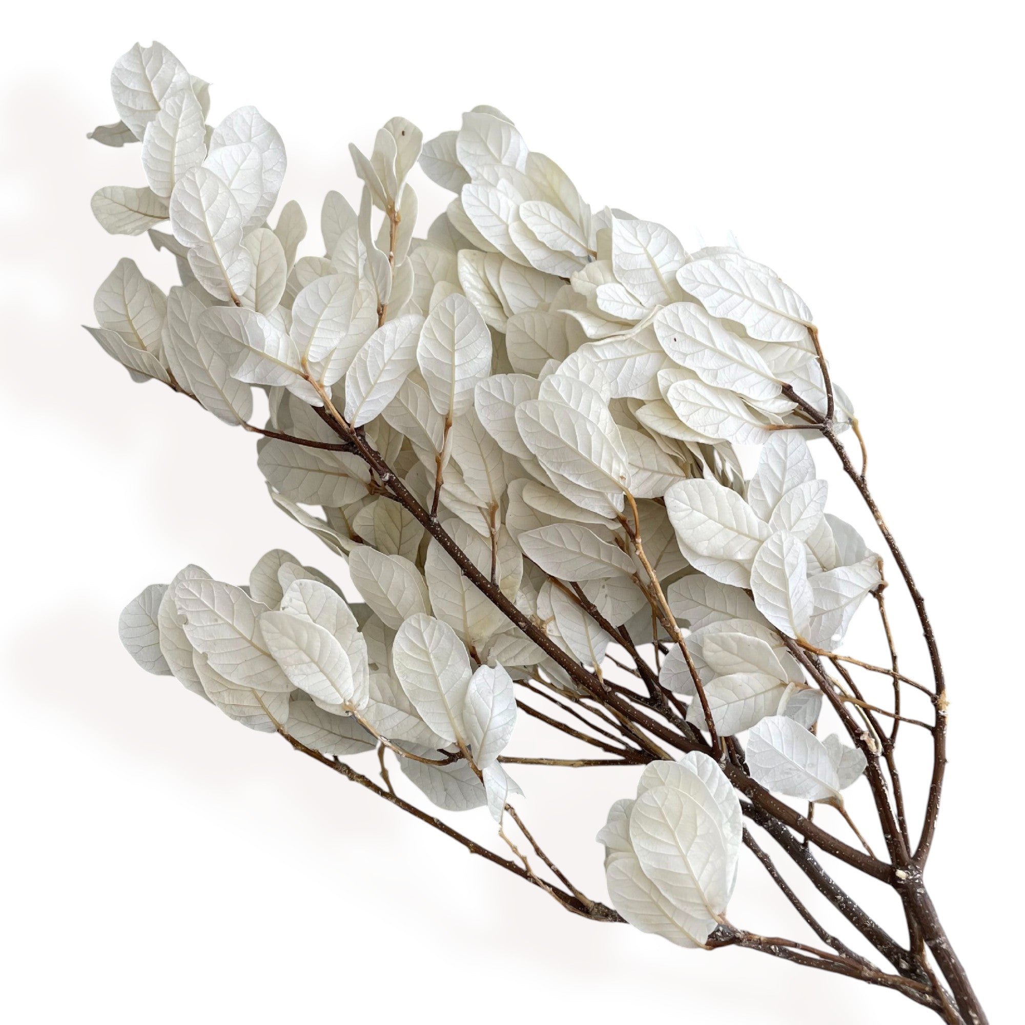 Alilang Decorative Dried Leafy Branches for Modern Home Decoration and Floral Arrangements