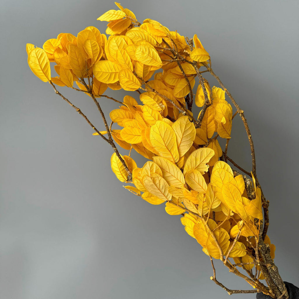 Alilang Decorative Dried Leafy Branches for Modern Home Decoration and Floral Arrangements