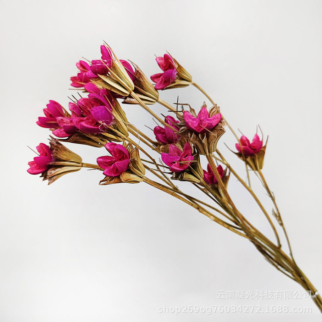 Alilang Decorative Dried Flower Stems for Home Decoration and Floral Arrangements
