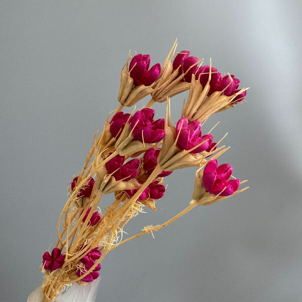 Alilang Decorative Dried Flower Stems for Home Decoration and Floral Arrangements