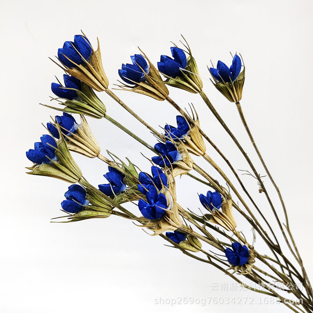 Alilang Decorative Dried Flower Stems for Home Decoration and Floral Arrangements