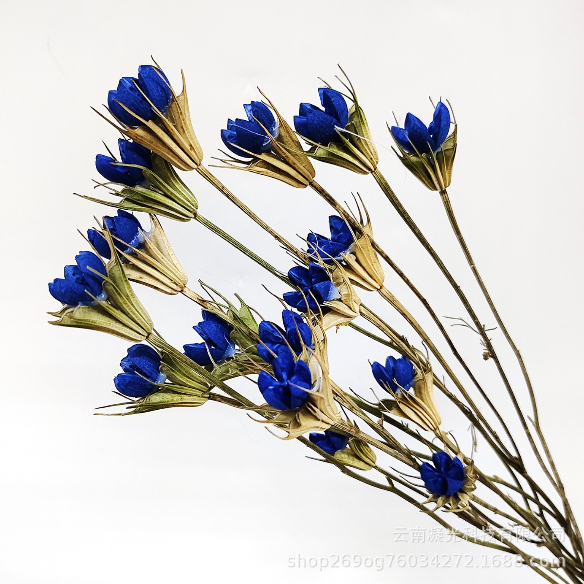 Alilang Decorative Dried Flower Stems for Home Decoration and Floral Arrangements