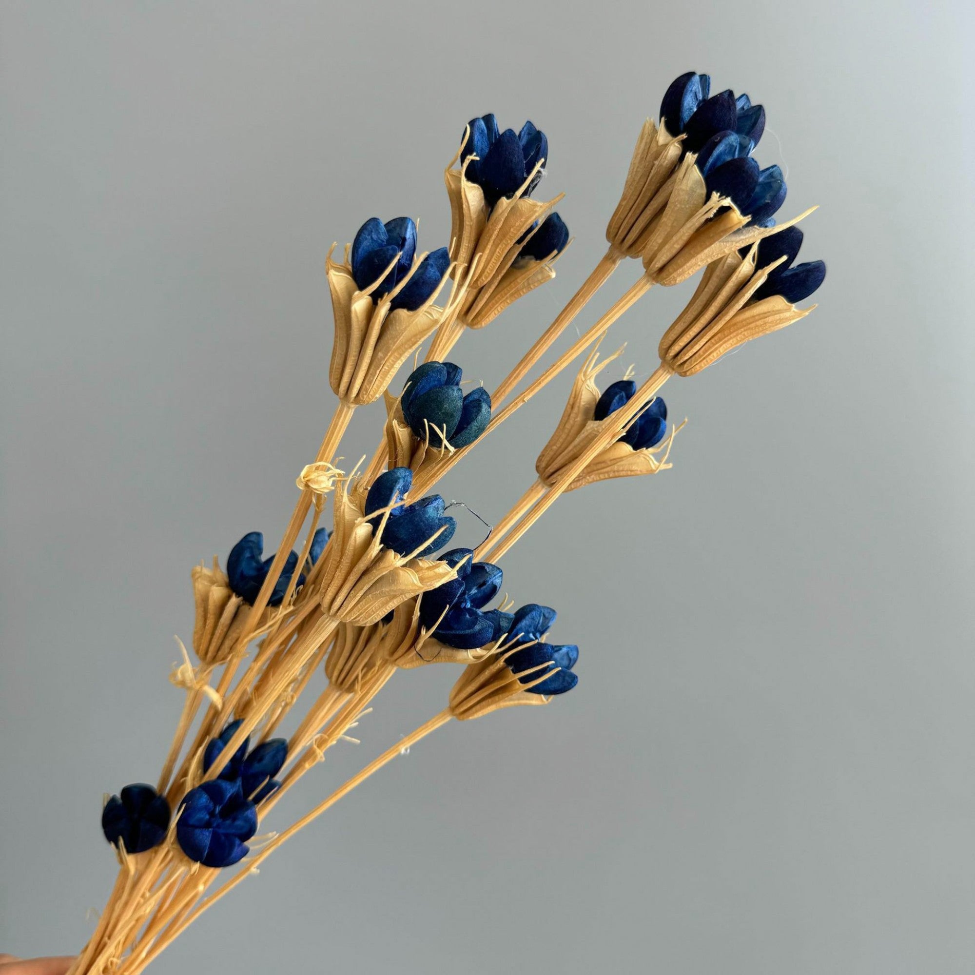 Alilang Decorative Dried Flower Stems for Home Decoration and Floral Arrangements
