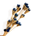 Alilang Decorative Dried Flower Stems for Home Decoration and Floral Arrangements