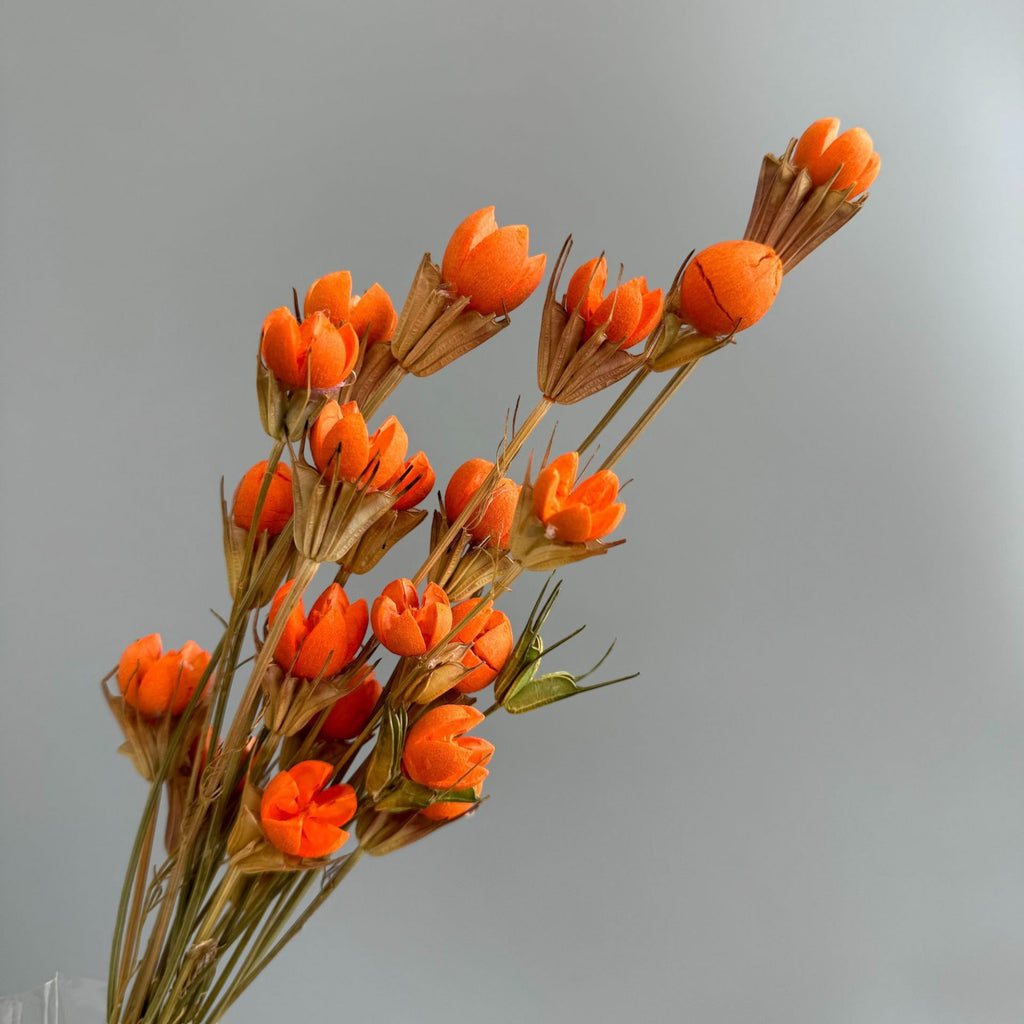 Alilang Decorative Dried Flower Stems for Home Decoration and Floral Arrangements