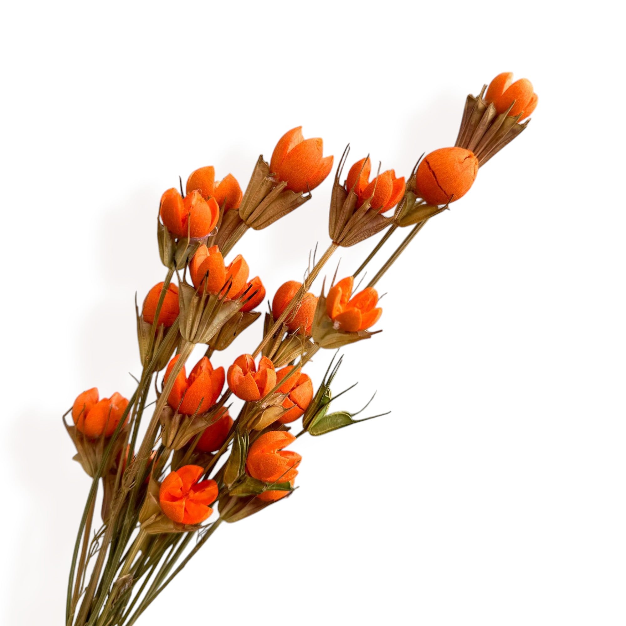 Alilang Decorative Dried Flower Stems for Home Decoration and Floral Arrangements