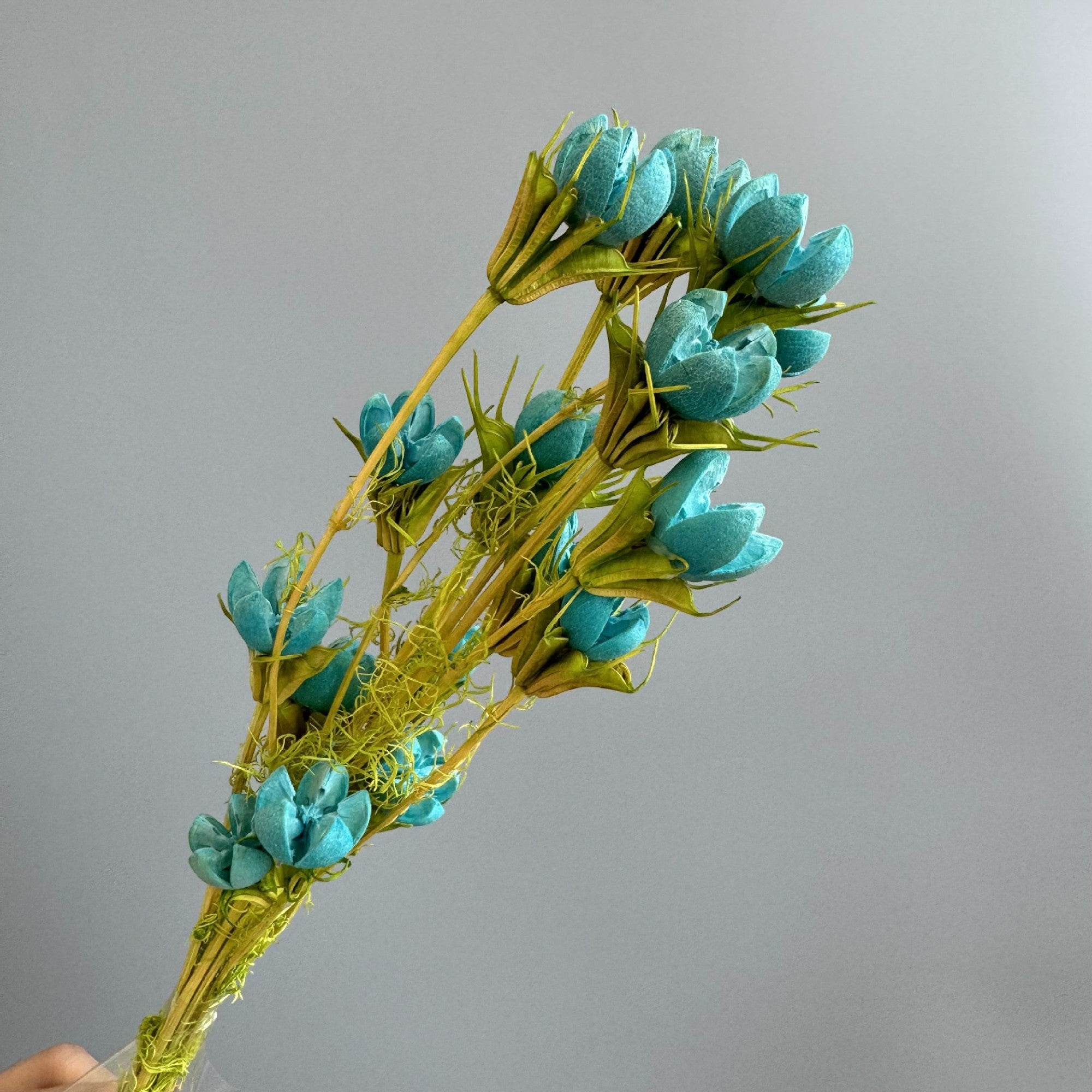 Alilang Decorative Dried Flower Stems for Home Decoration and Floral Arrangements
