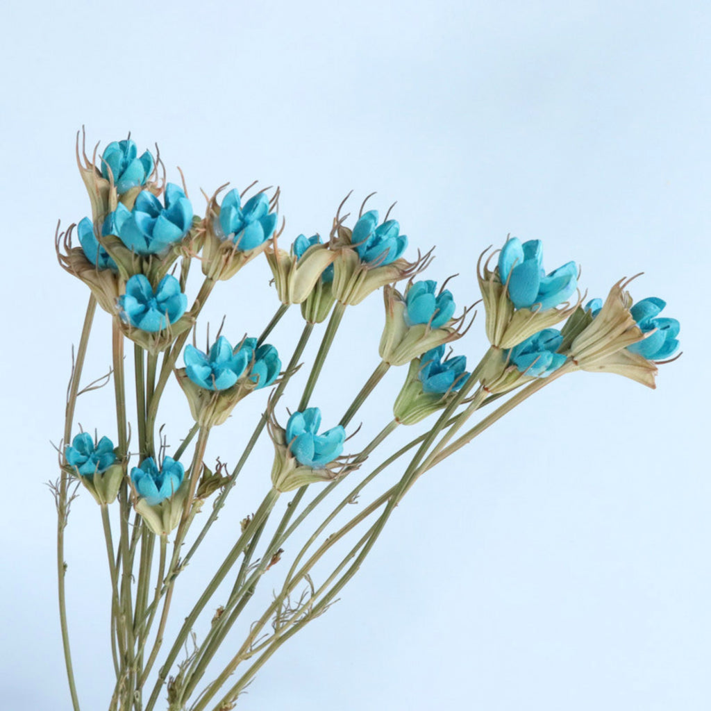 Alilang Decorative Dried Flower Stems for Home Decoration and Floral Arrangements