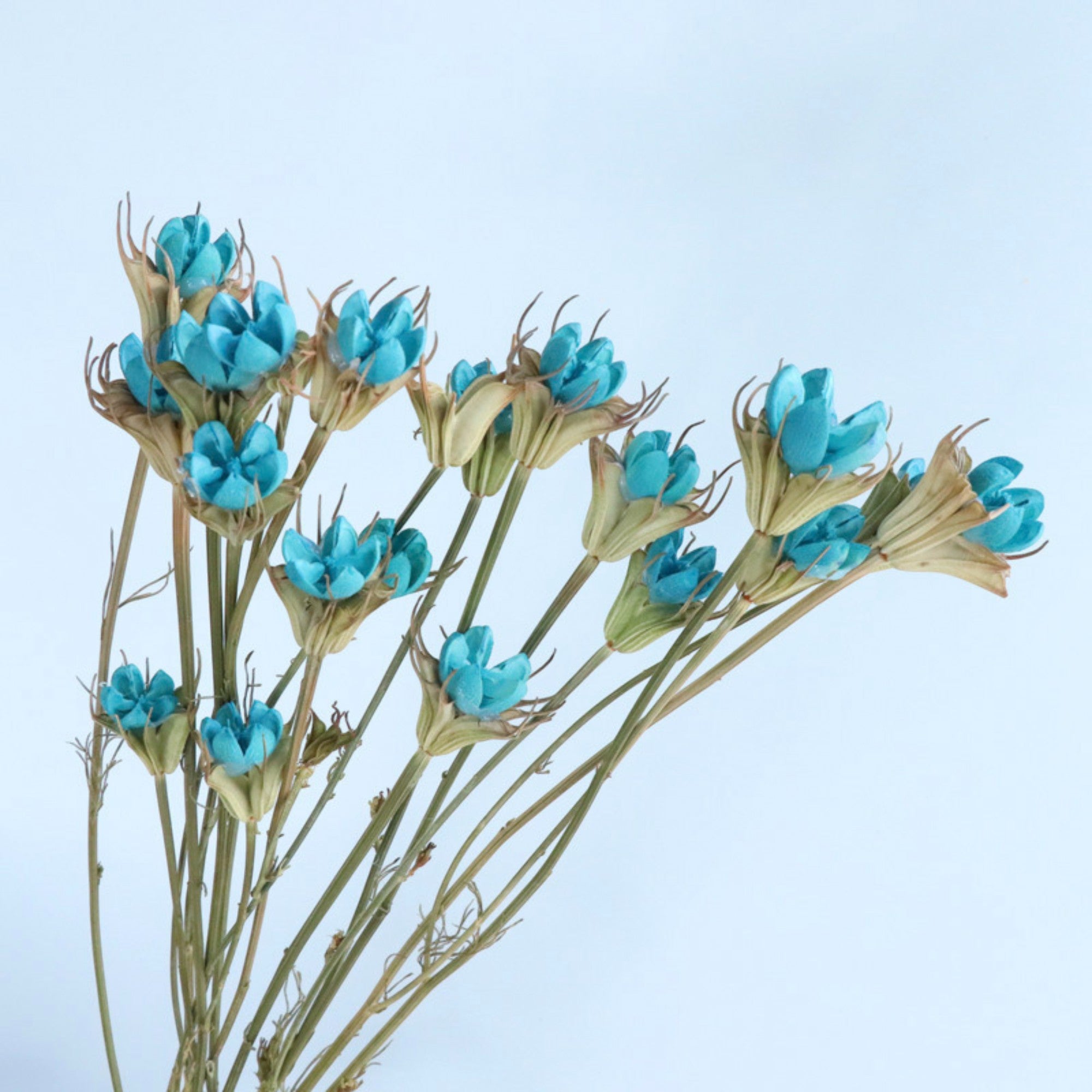 Alilang Decorative Dried Flower Stems for Home Decoration and Floral Arrangements