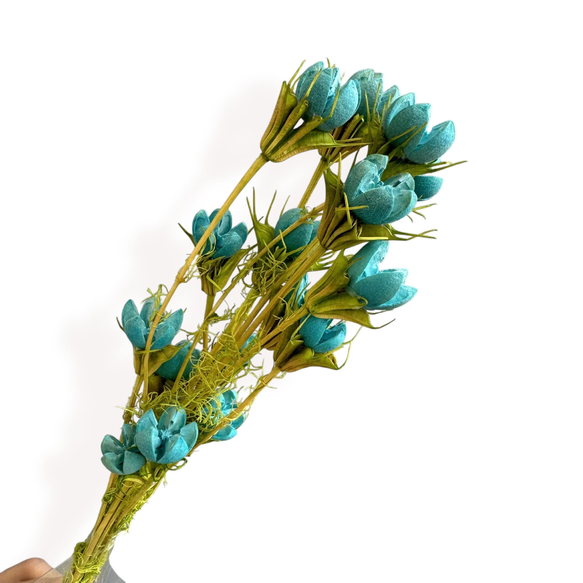 Alilang Decorative Dried Flower Stems for Home Decoration and Floral Arrangements