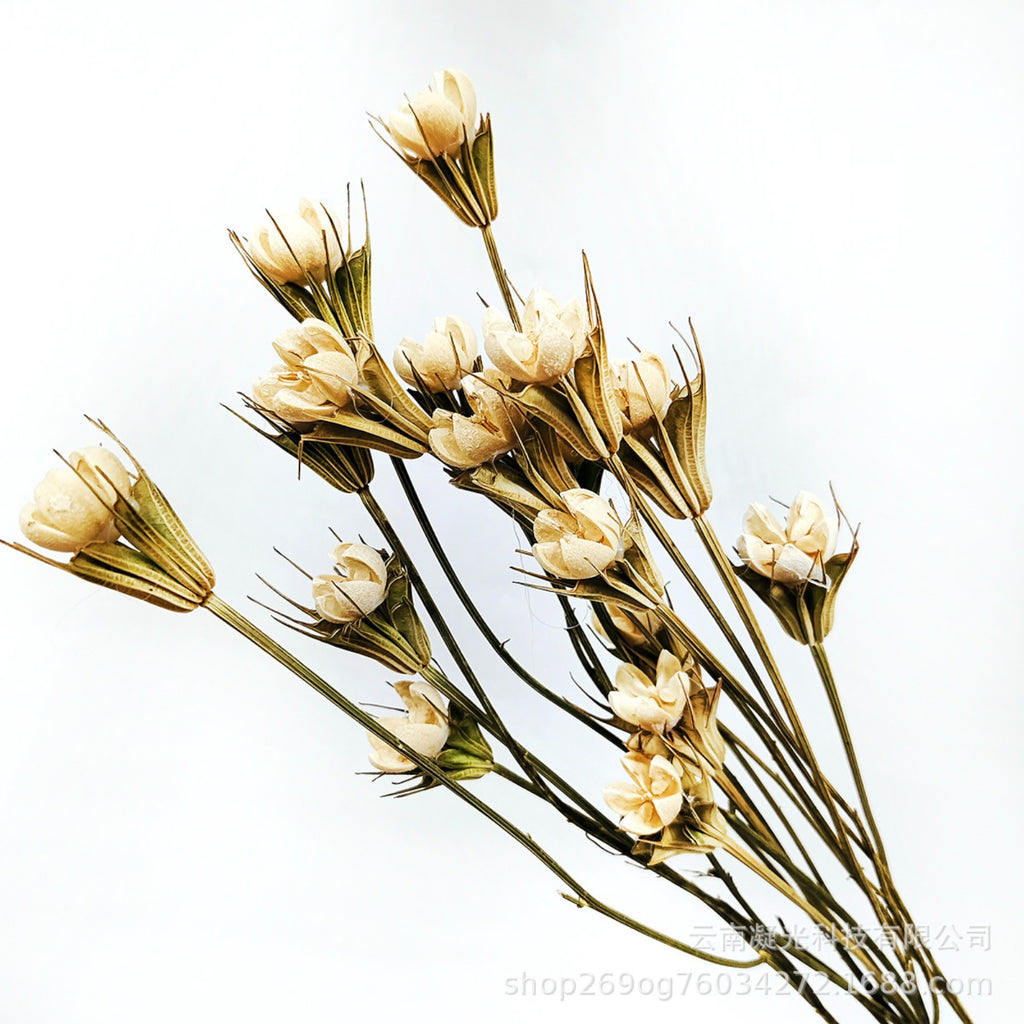 Alilang Decorative Dried Flower Stems for Home Decoration and Floral Arrangements