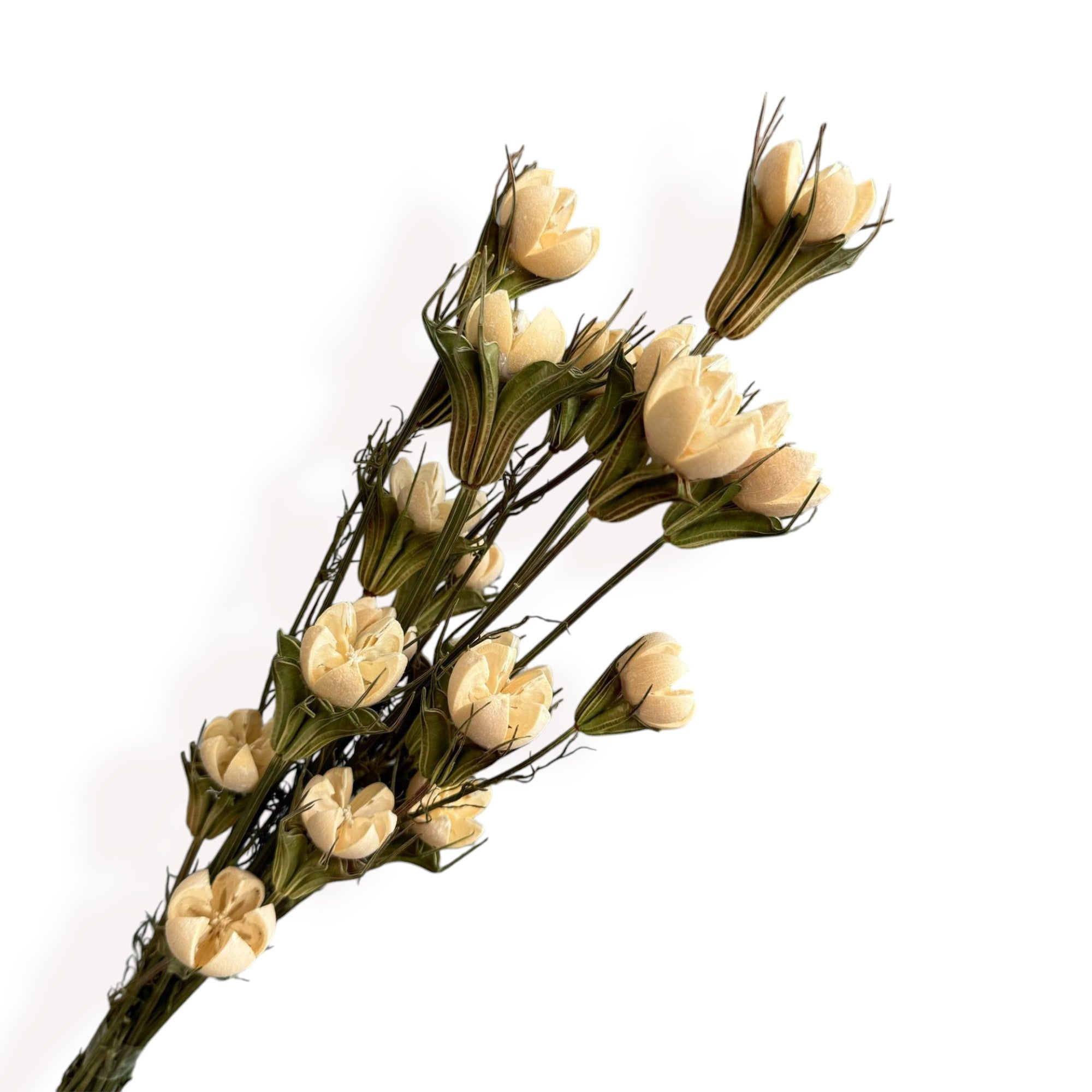 Alilang Decorative Dried Flower Stems for Home Decoration and Floral Arrangements