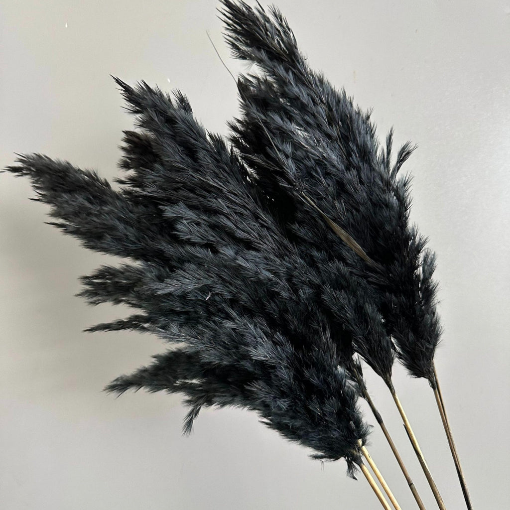 Alilang Decorative Dried Tall Grass Stems for Home Decoration and Floral Arrangements