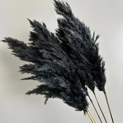Alilang Decorative Dried Tall Grass Stems for Home Decoration and Floral Arrangements