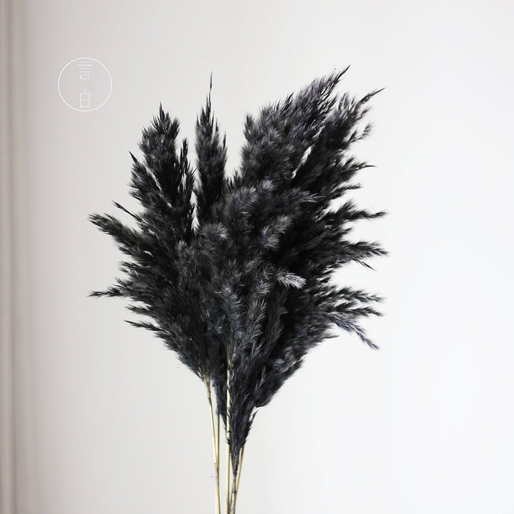 Alilang Decorative Dried Tall Grass Stems for Home Decoration and Floral Arrangements