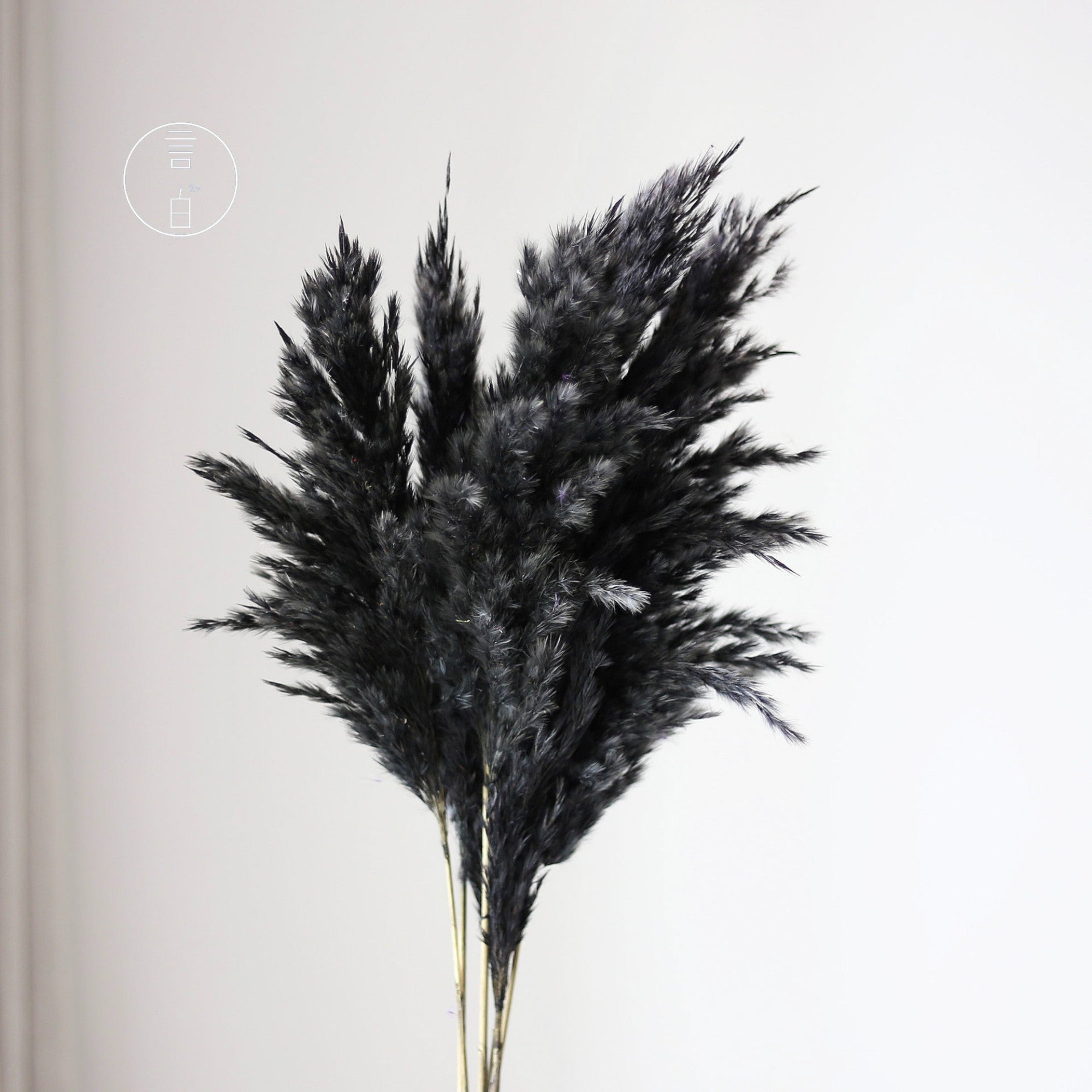 Alilang Decorative Dried Tall Grass Stems for Home Decoration and Floral Arrangements