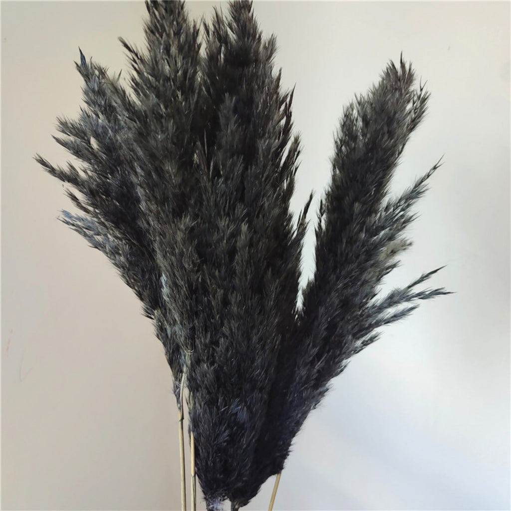 Alilang Decorative Dried Tall Grass Stems for Home Decoration and Floral Arrangements