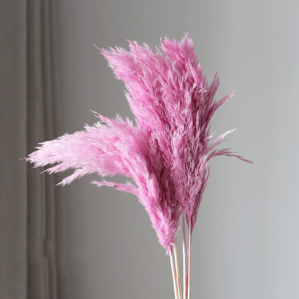 Alilang Decorative Dried Tall Grass Stems for Home Decoration and Floral Arrangements