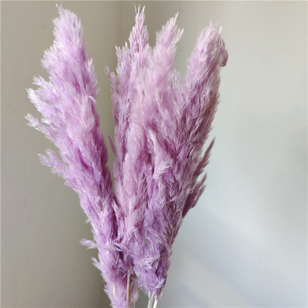 Alilang Decorative Dried Tall Grass Stems for Home Decoration and Floral Arrangements