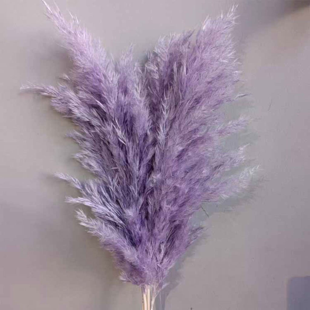 Alilang Decorative Dried Tall Grass Stems for Home Decoration and Floral Arrangements