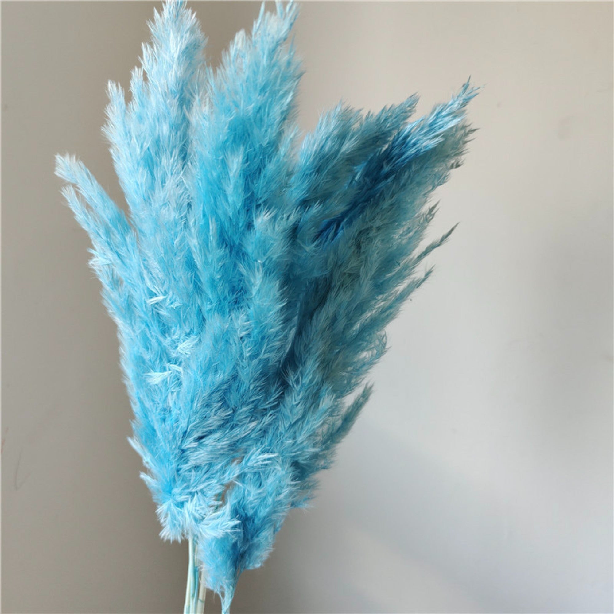 Alilang Decorative Dried Tall Grass Stems for Home Decoration and Floral Arrangements