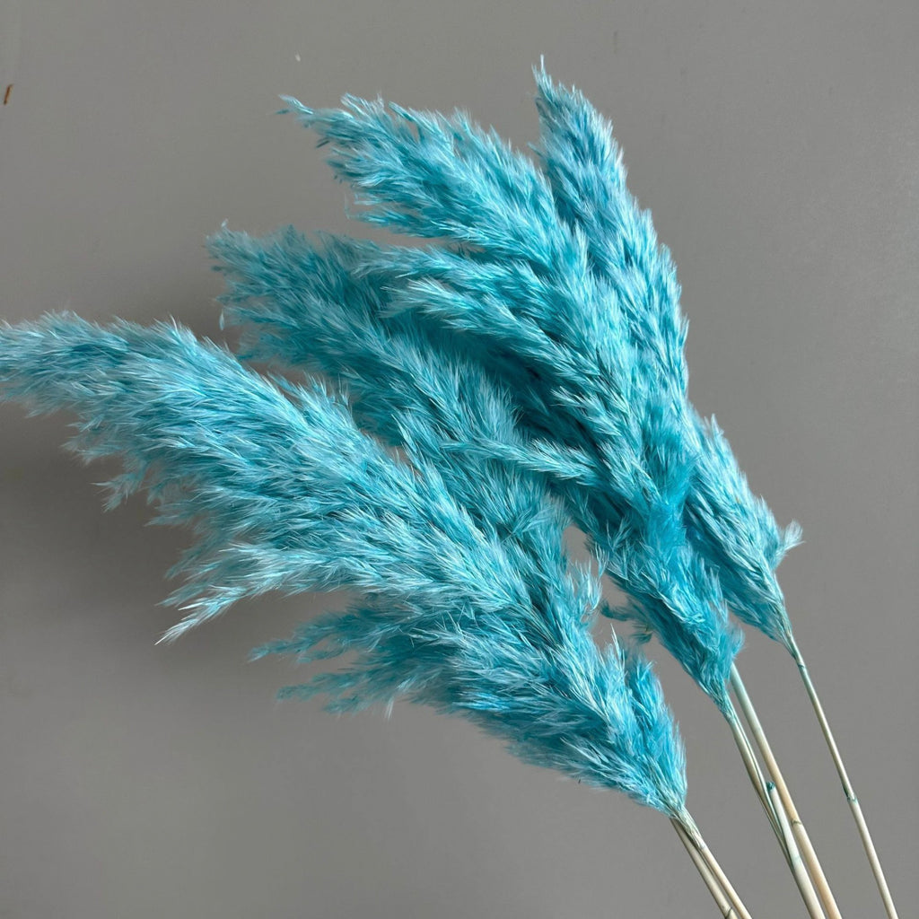 Alilang Decorative Dried Tall Grass Stems for Home Decoration and Floral Arrangements
