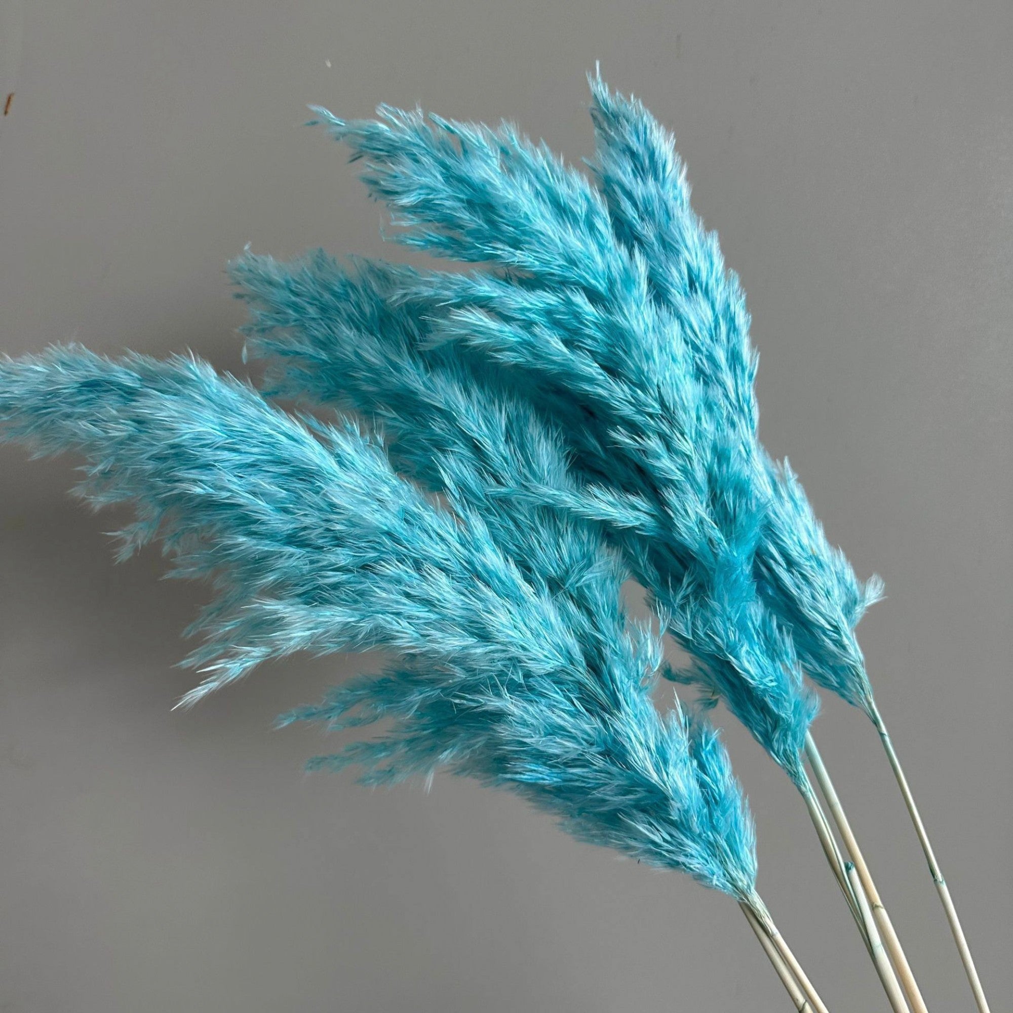 Alilang Decorative Dried Tall Grass Stems for Home Decoration and Floral Arrangements