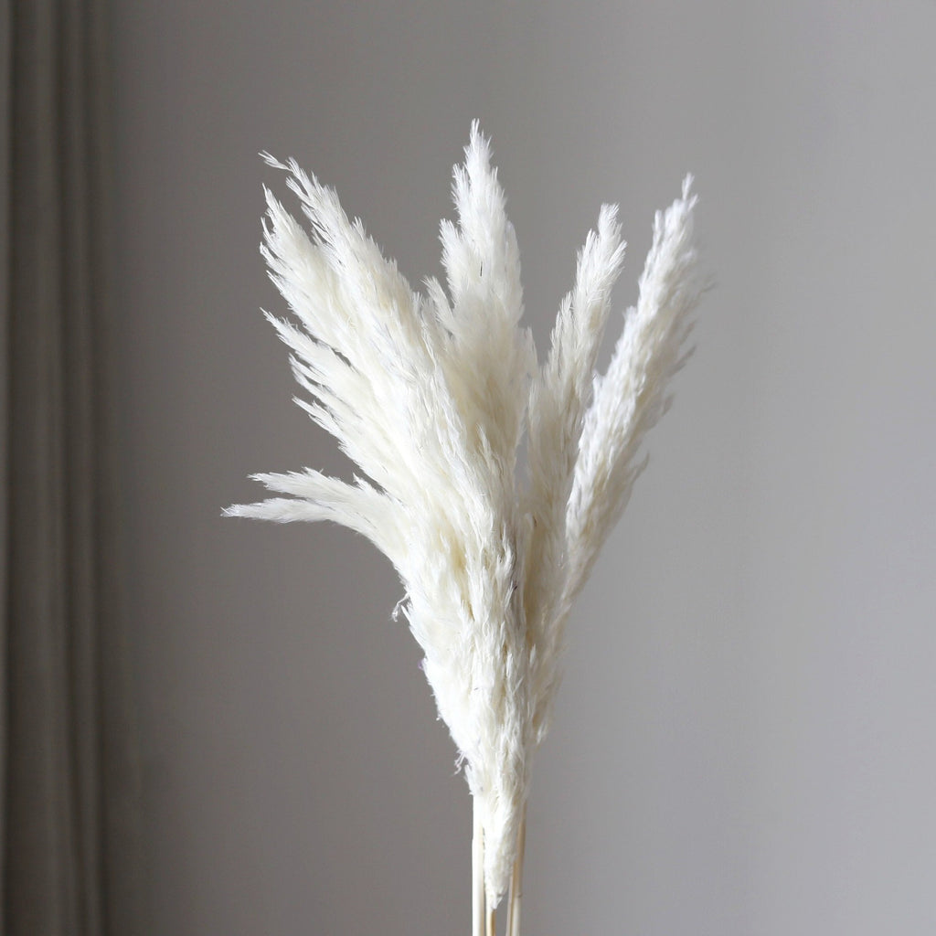 Alilang Decorative Dried Tall Grass Stems for Home Decoration and Floral Arrangements