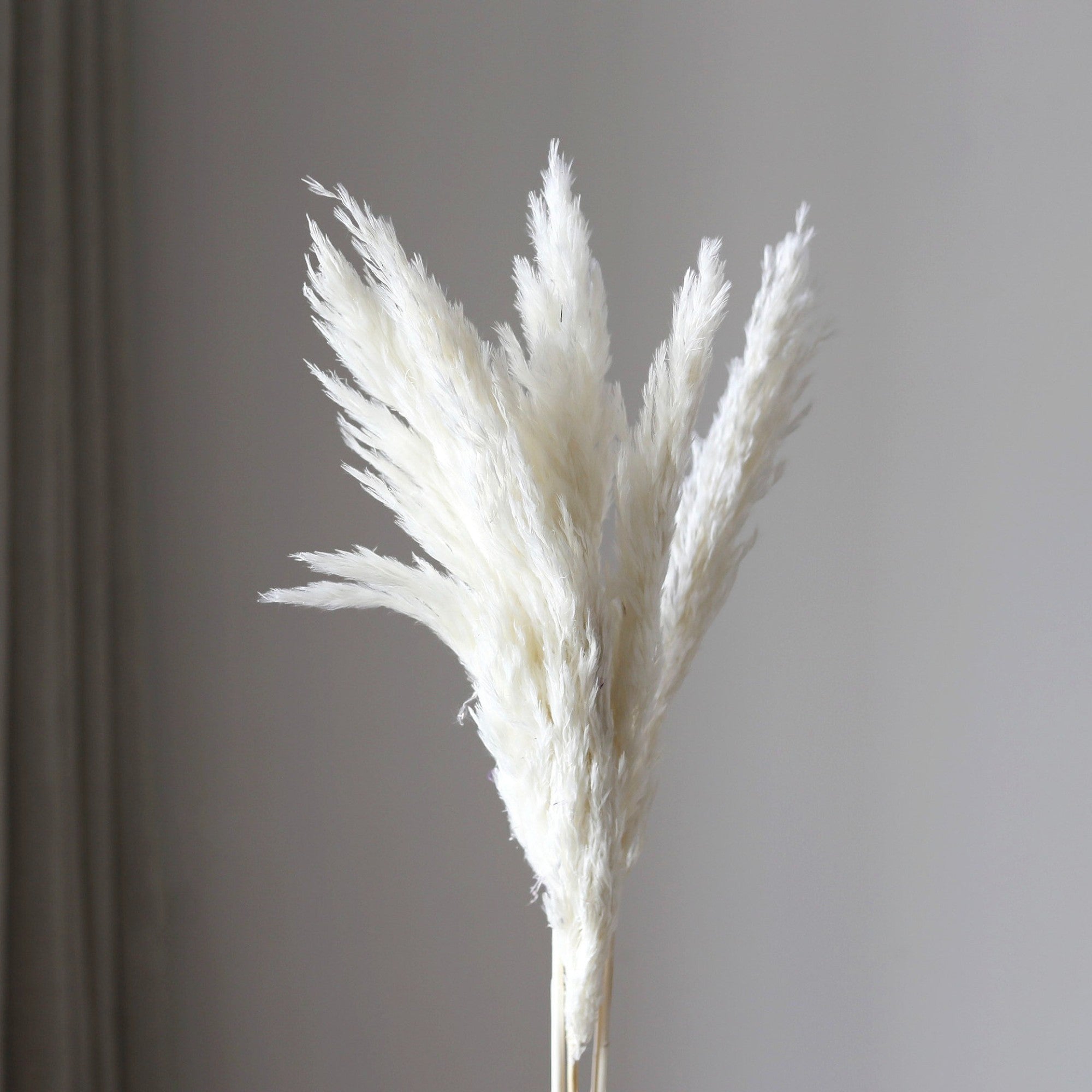 Alilang Decorative Dried Tall Grass Stems for Home Decoration and Floral Arrangements
