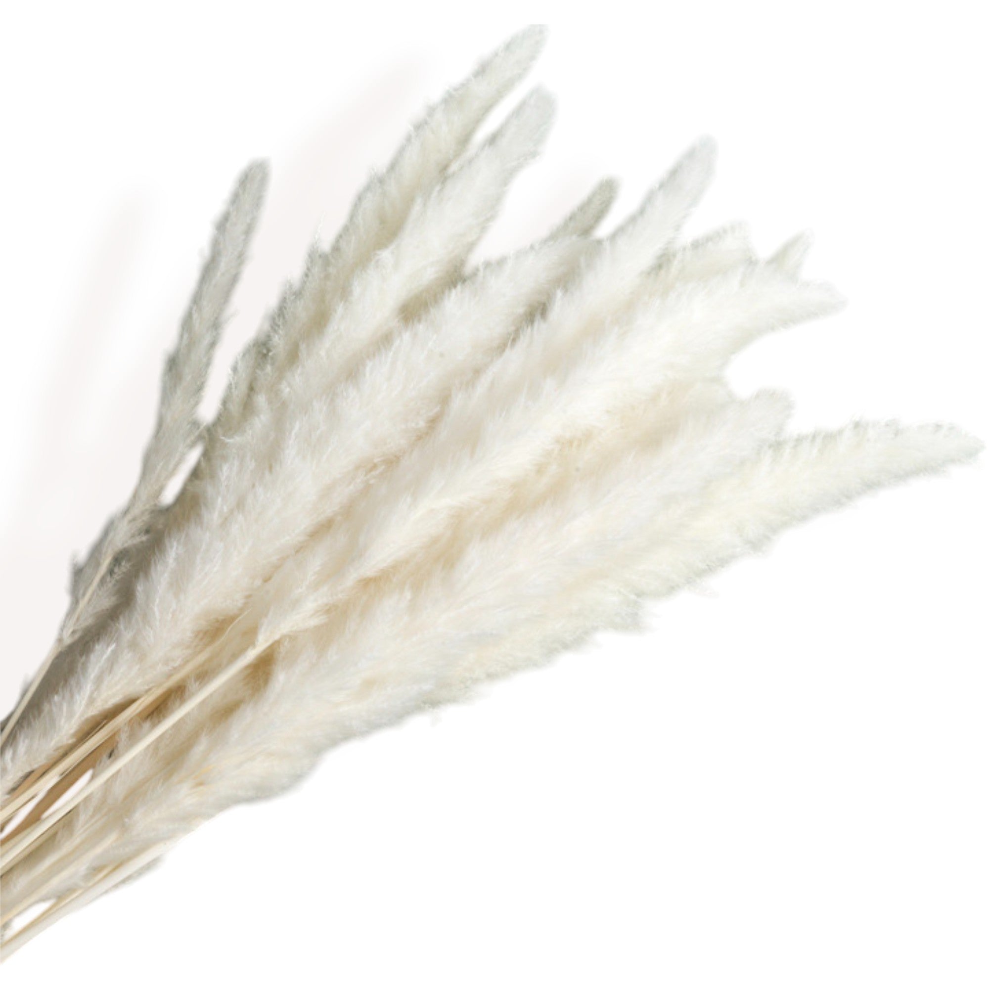 Alilang Decorative Neutral Dried Floral Bouquet for Home Decoration and Centerpieces