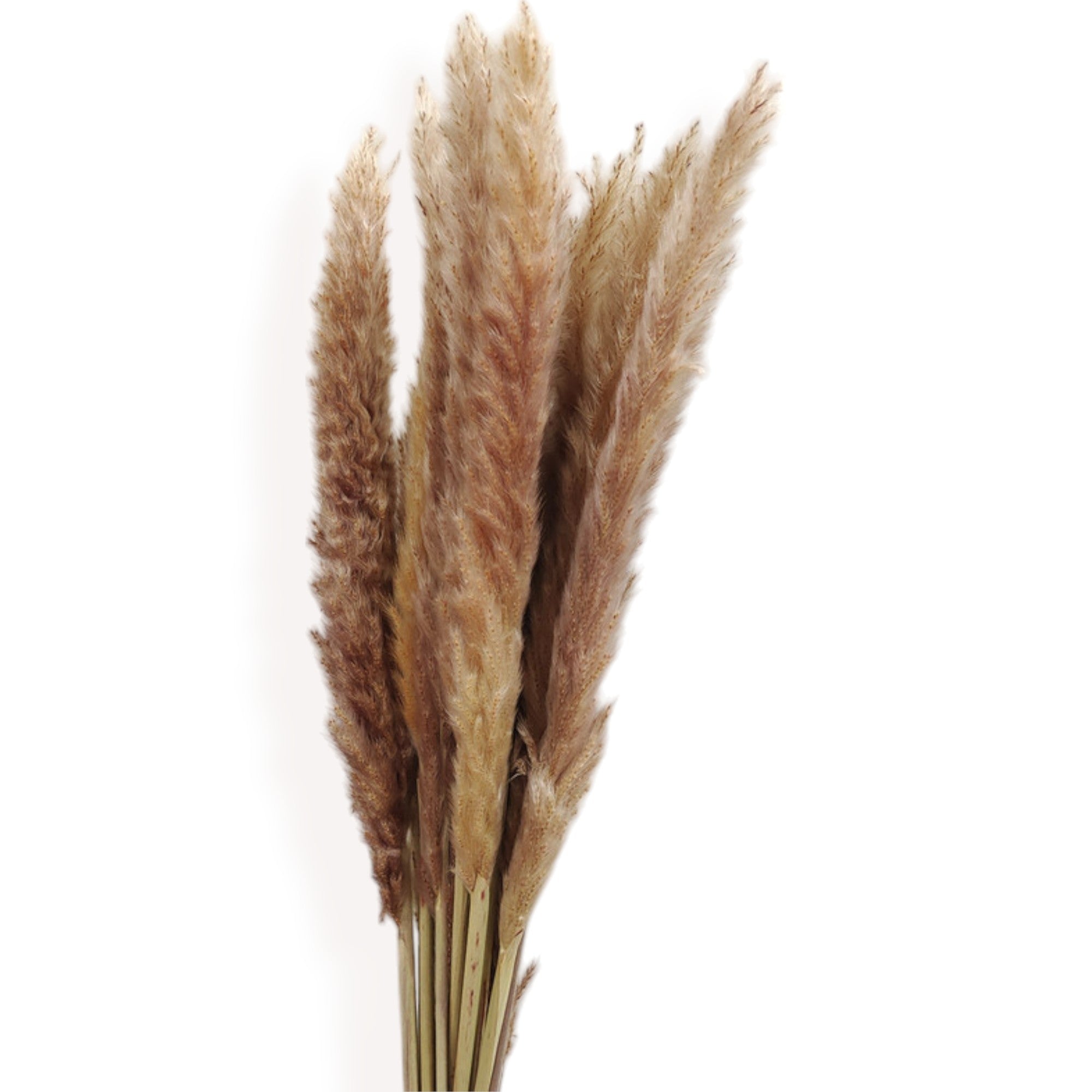 Alilang Decorative Dried Floral Bouquet with Greenery and Textured Accents for Home Decoration