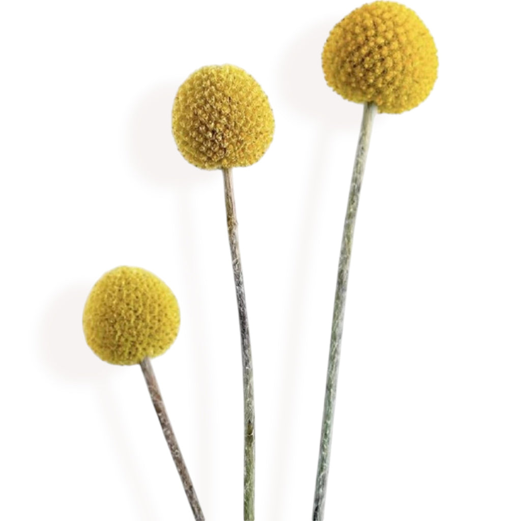 Alilang Decorative Dried Floral Bouquet with Greenery and Textured Accents for Home Decoration