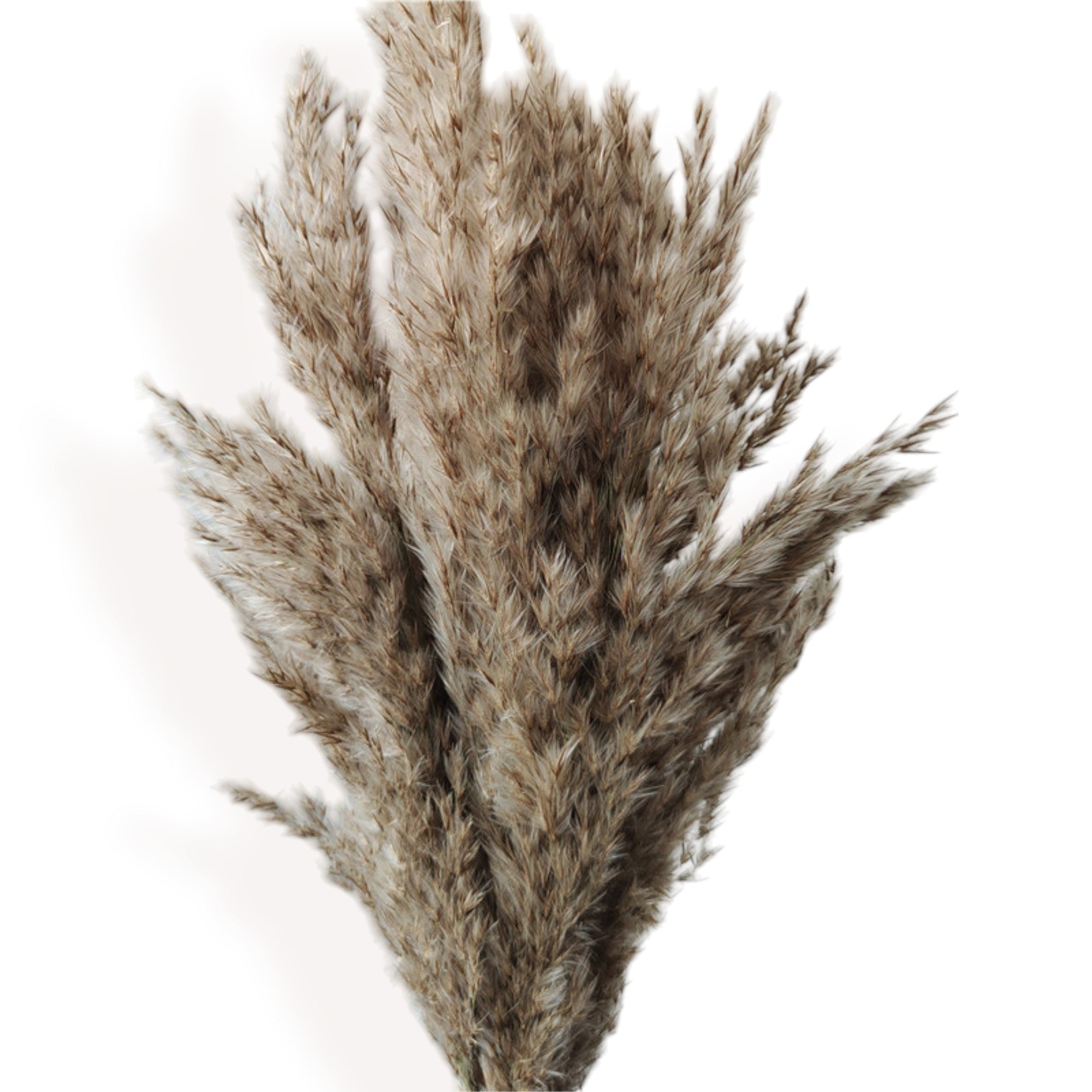 Alilang Decorative Dried Bouquet with Greenery and Grasses for Home Decoration and Centerpieces