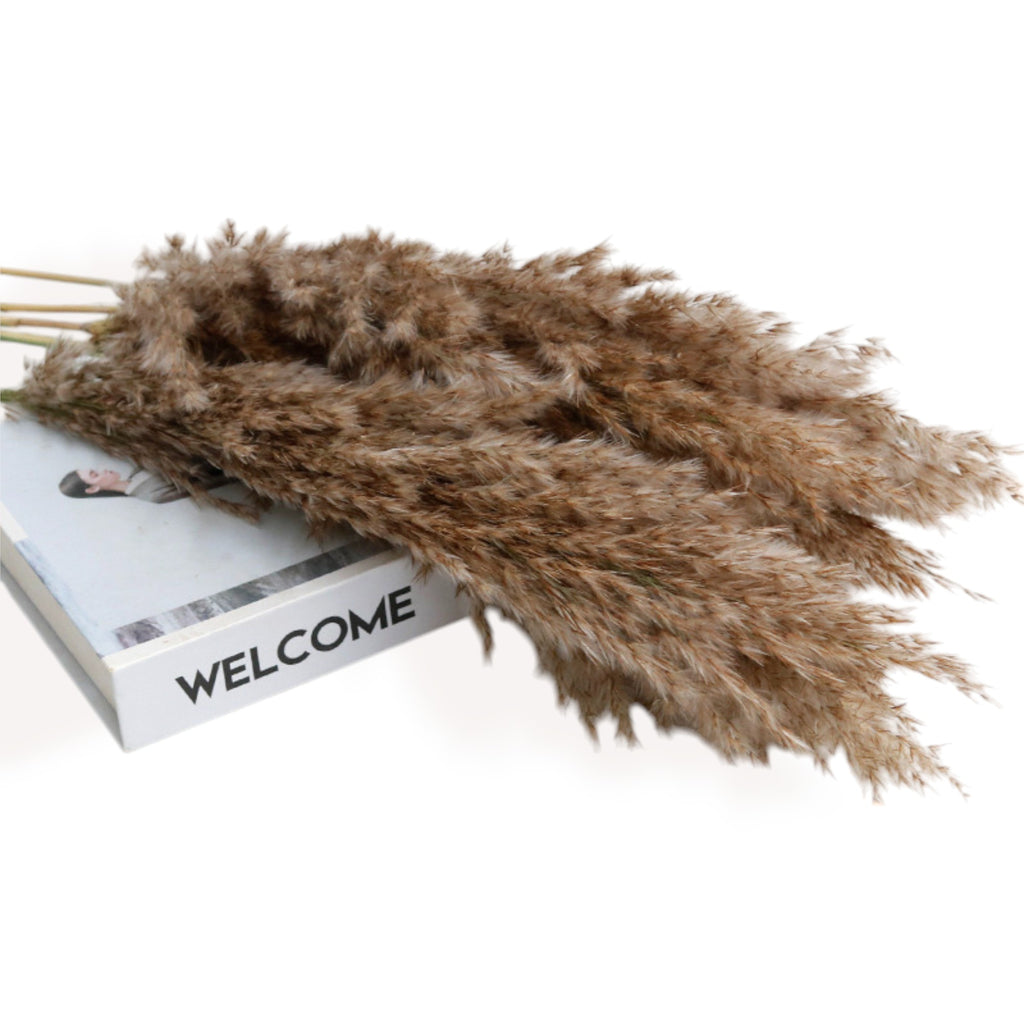 Alilang Decorative Dried Bouquet with Greenery and Grasses for Home Decoration and Centerpieces