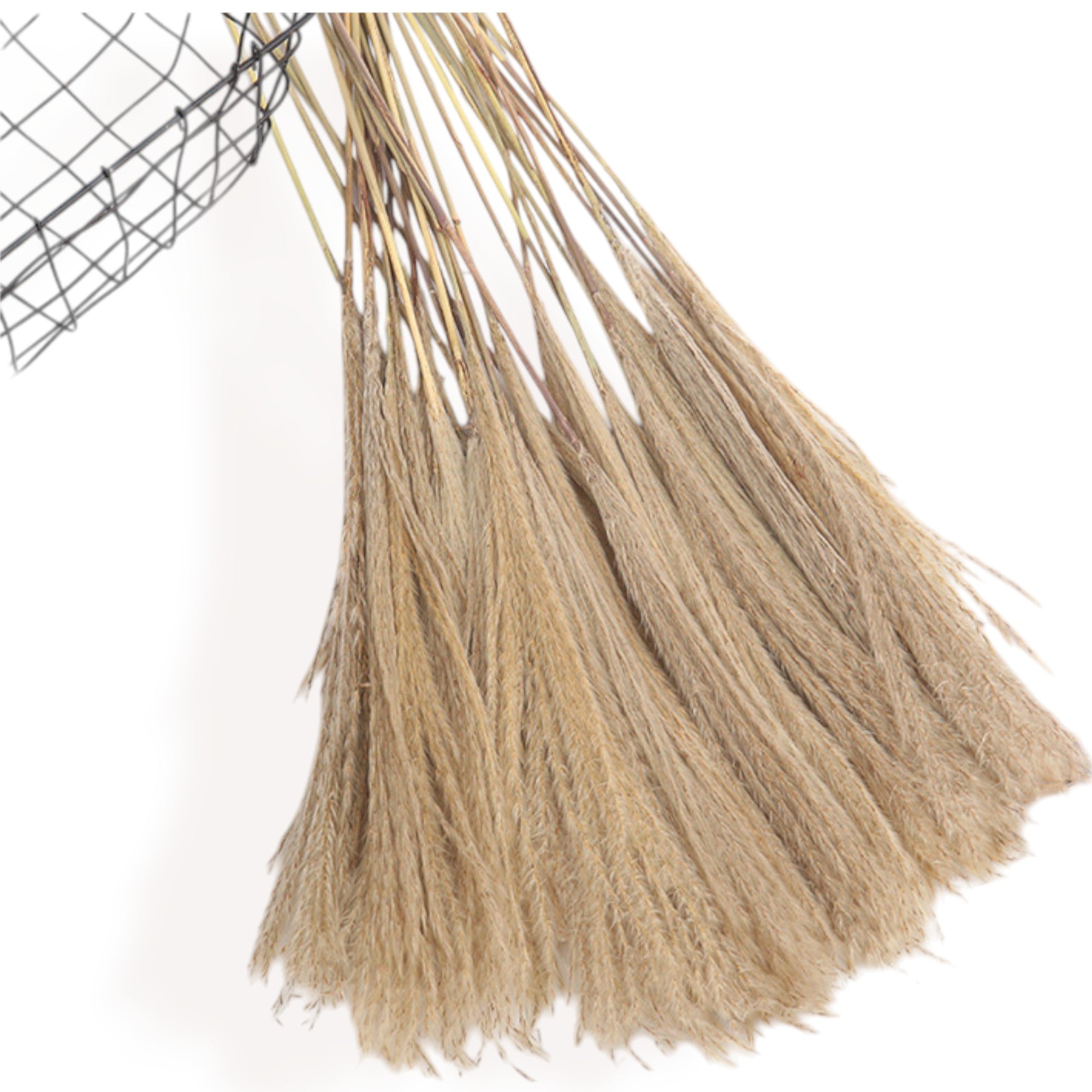 Alilang Decorative Dried Bouquet with Greenery and Grasses for Home Decoration and Centerpieces