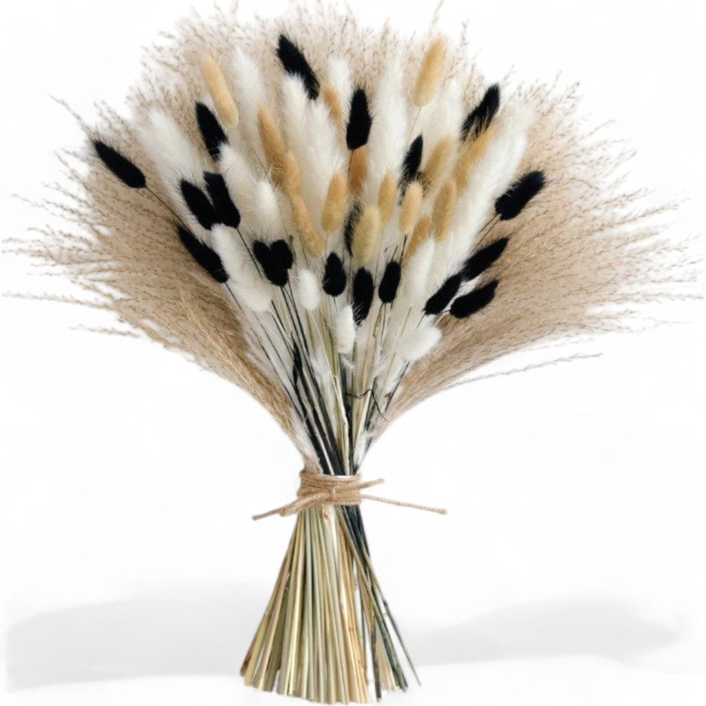 Alilang Decorative Dried Bunny Tail Grass Bouquet with Contrasting Textures for Home Decoration