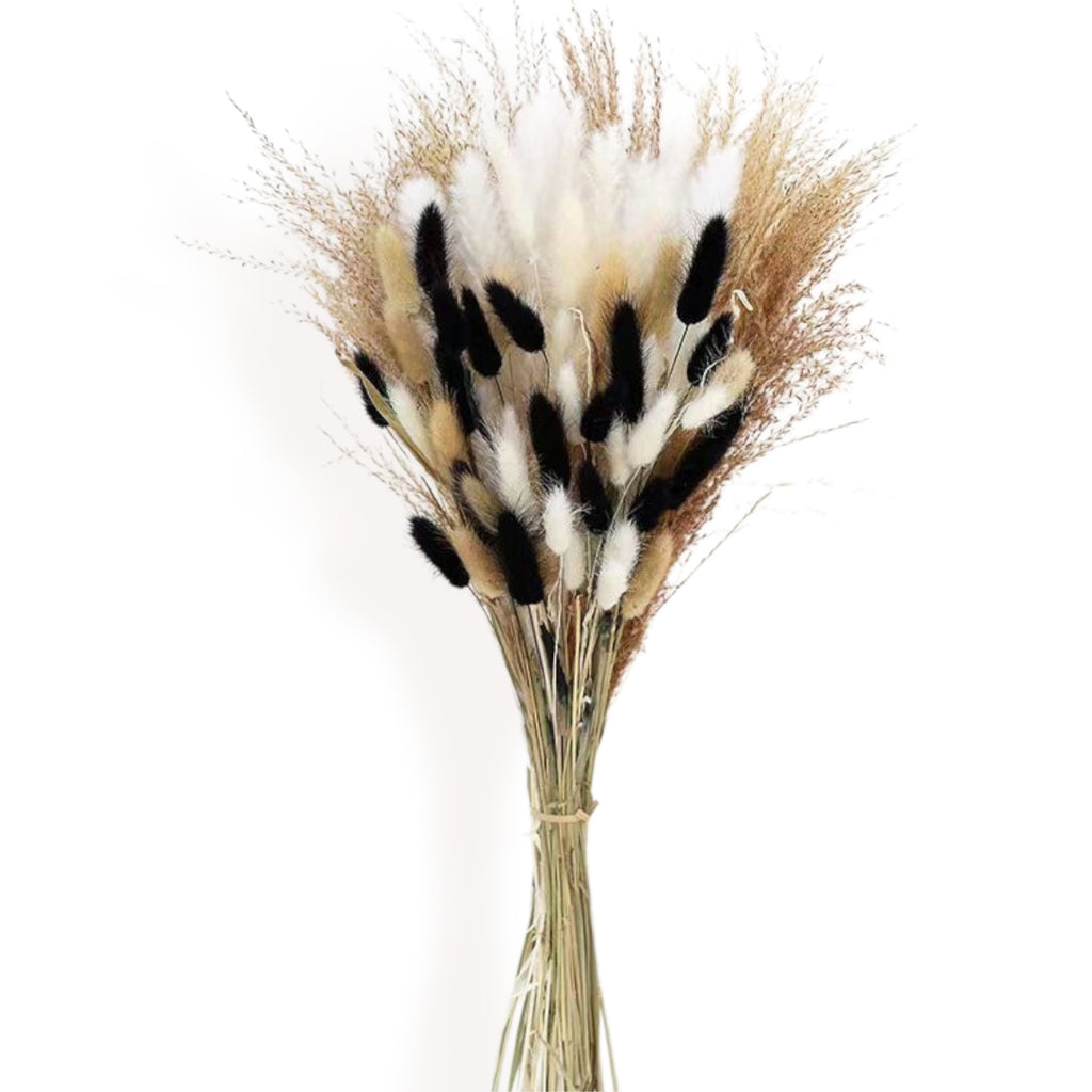 Alilang Decorative Dried Bunny Tail Grass Bouquet with Contrasting Textures for Home Decoration