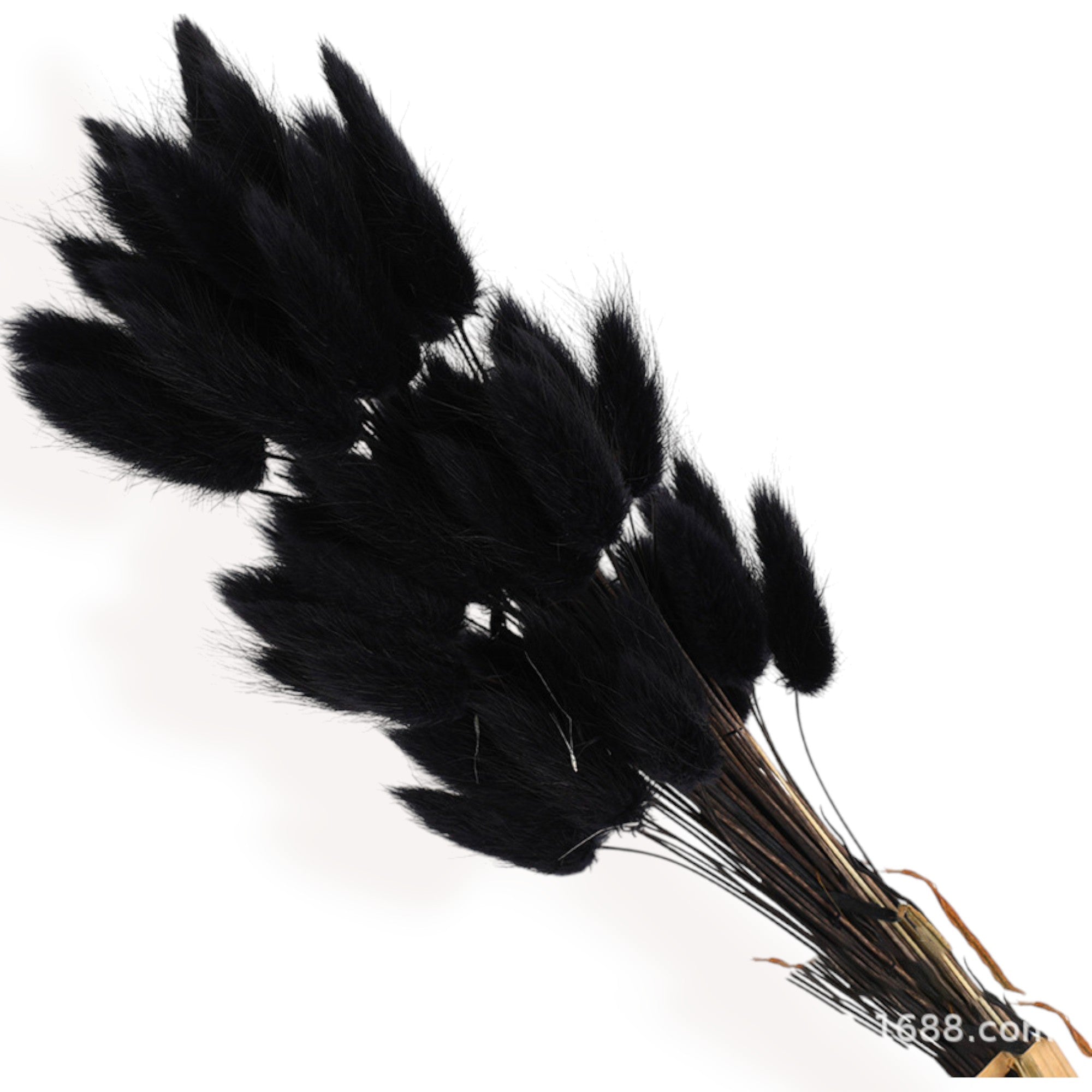 Alilang Decorative Dried Bunny Tail Grass Bouquet with Contrasting Textures for Home Decoration