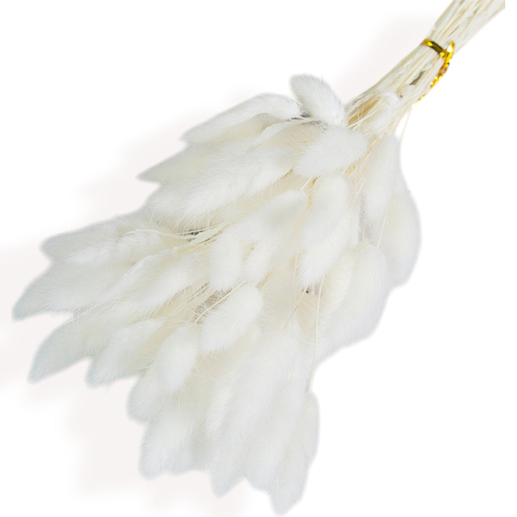 Alilang Decorative Dried Bunny Tail Grass Bouquet with Contrasting Textures for Home Decoration