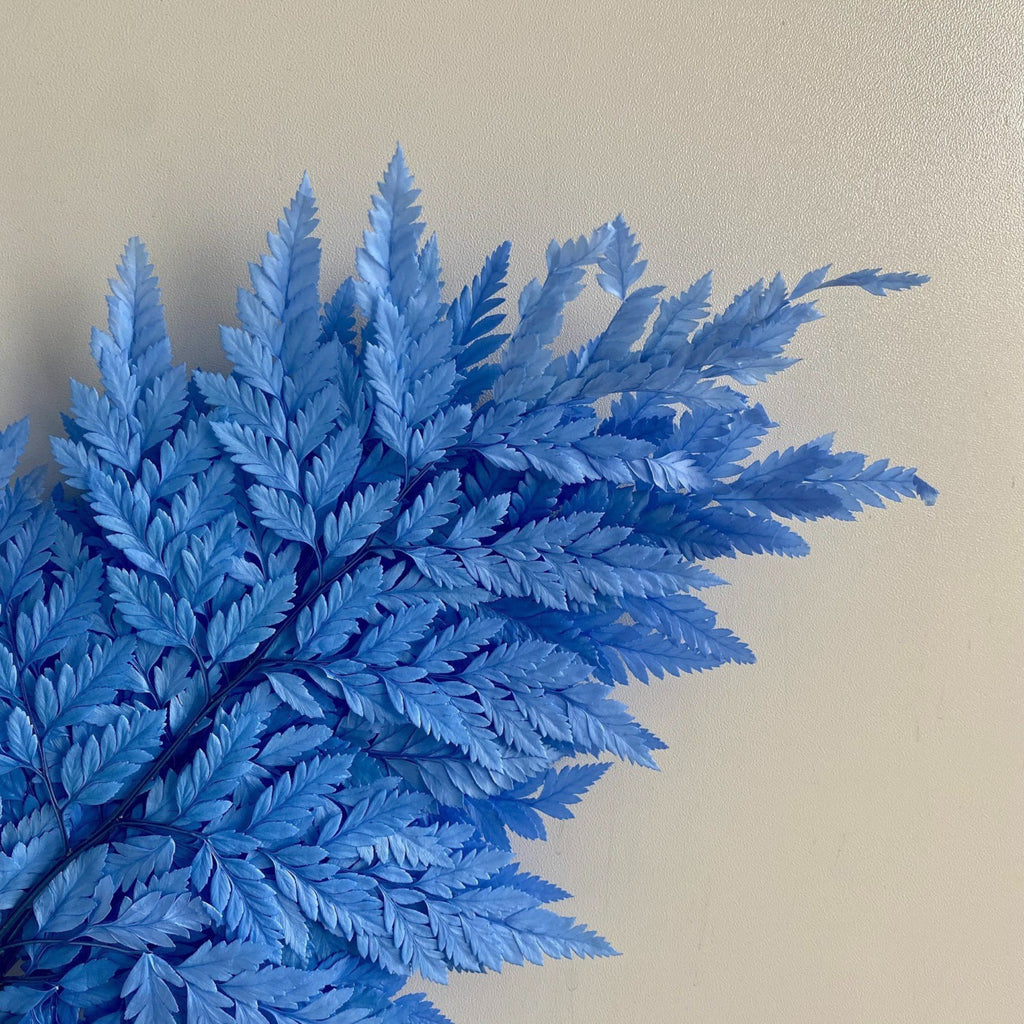 Alilang Decorative Dried Fern Leaves for Home Decoration and Floral Arrangements